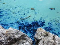 /album/annemarie-heindl/p1020343-jpg/