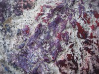 /album/annemarie-heindl/dsc02728-jpg/