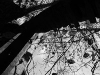 /album/annemarie-heindl/p1010099-jpg/