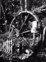 /album/annemarie-heindl/p1010064-jpg/