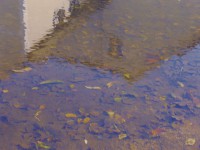 /album/annemarie-heindl/p1000956-jpg/