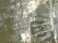 /album/annemarie-heindl/p1010002-jpg/