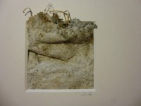 /album/annemarie-heindl/p1130306-jpg/